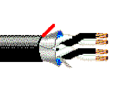 Belden 1069A 0107500 - 16 AWG -  C - 7500 FT - 600 V RMS (NEC Type TC)^ 150 V RMS (NPLF) - BLACK
