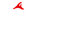 Flex Wires Logo